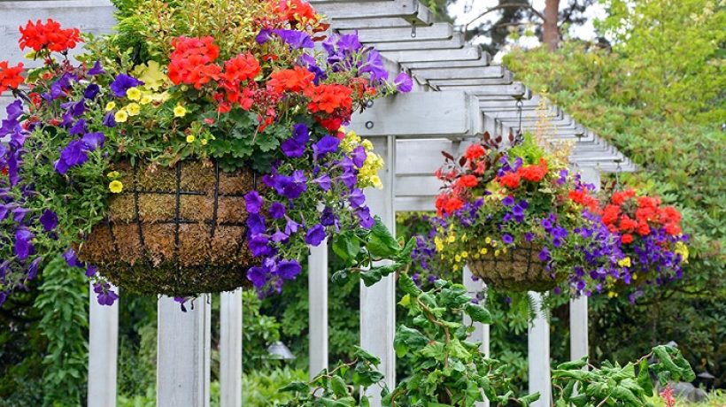 Outdoor Hanging Flower Baskets to Help You Organize Your Garden