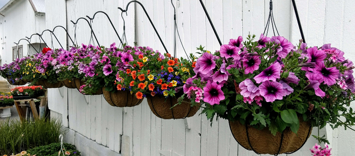 Outdoor Hanging Flower Baskets