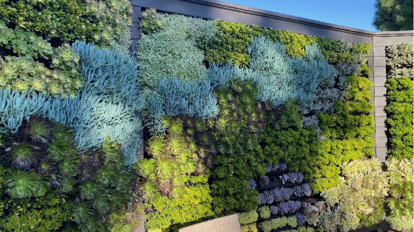 Tips for creating and maintaining a vertical garden at home