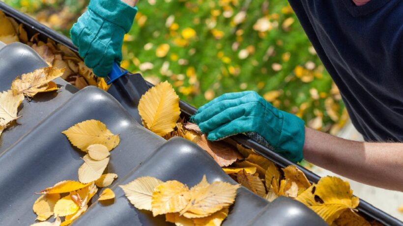 Top 5 Reasons Why Gutter Cleaning Is Essential for Your Home