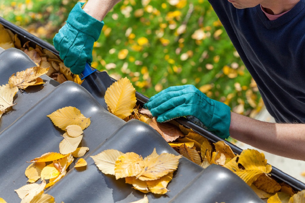 Gutter Cleaning Is Essential for Your Home