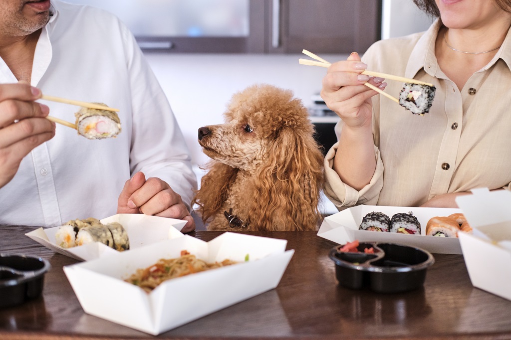 Can Dogs Eat Sushi