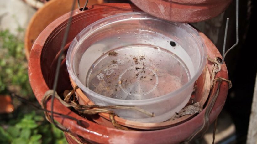 How to Prevent Breeding of Mosquitoes in Stagnant Water
