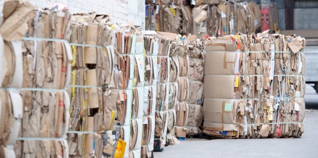 Why Should You Recycle Cardboard?