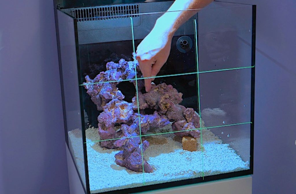 Step-by-step Guide to Creating a Reef Aquarium