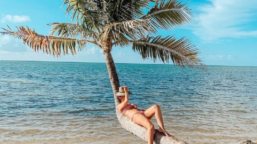 Miami Vacation Guide – Where to Go, Eat & Stay