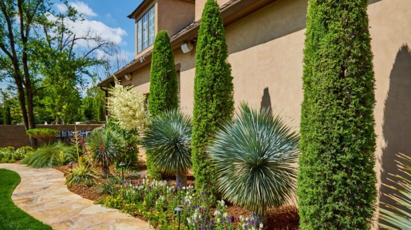 Oklahoma City Seasonal Garden Guide – Wind, Heat & Soil Prep
