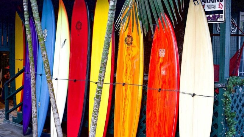 The Ultimate Guide to Different Types of Surfboards for Every Skill Level