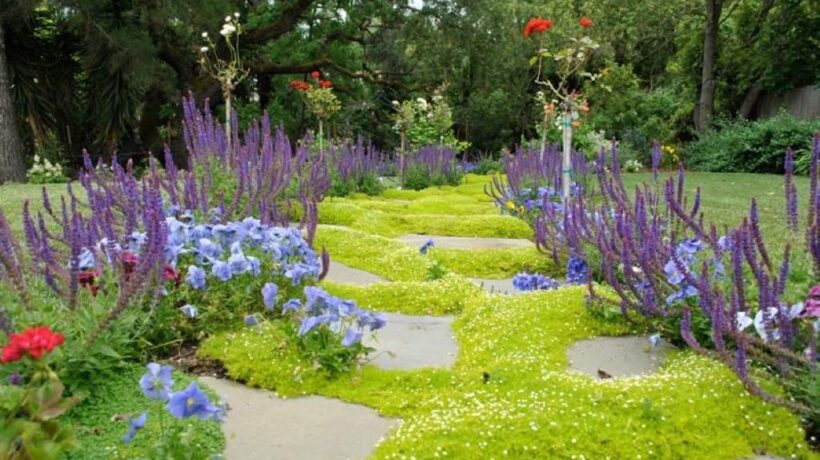 How to Build and Maintain a Self-Sustaining Moss Garden